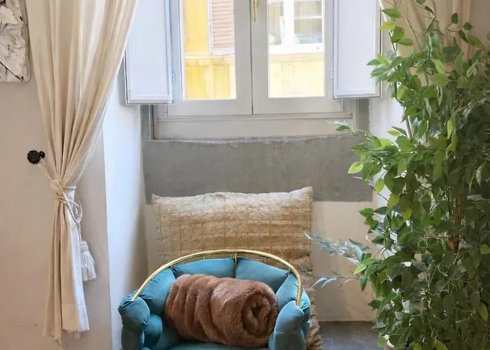 Luxury In Via Dei Cartari Spacious, Elegant,